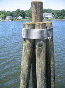 6-Pile Dolphin