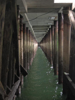 Pier Inspection